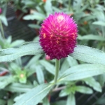 S__30433422