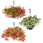 5c1636c256924acda455cb3f7ff8177f-S280x280-C280x280-FPNG